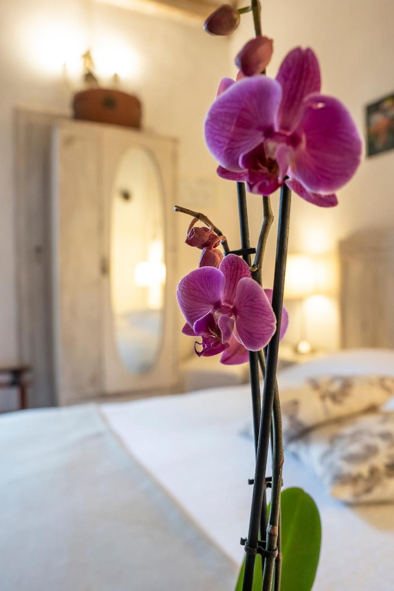 Le Terrazze Del Chianti B&B Residenza D'Epoca E Di Charme San Donato in Poggio ภายนอก รูปภาพ